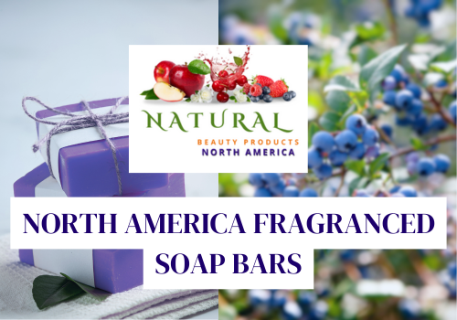 North America Scented Hotel Soap Bars